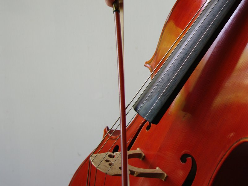 Cello 5